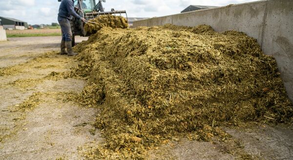 silage on a farm
