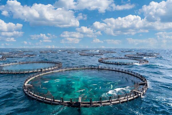 fishfarming