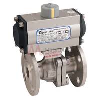 ASA150 Stainless Steel Ball Valves Pneumatic Actuator