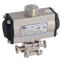 Pneumatic Actuated Stainless Steel Valves Haitima