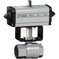 BSP Double Acting Ball Valve Stainless Steel