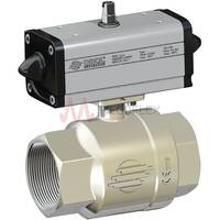 Double Acting Ball Valves