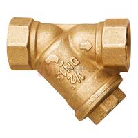 BSP Female Brass Y Strainers