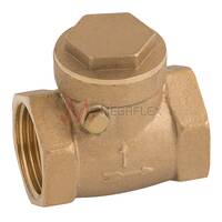 BSP Brass Swing Check Valves