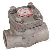 Class 800 Stainless Steel Check Valves ATEX