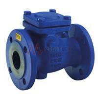 2″ Cast Iron Check Valve