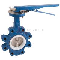 Lugged & Tapped Butterfly Valve Ductile Iron EPDM