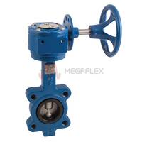 PN16 Lugged & Tapped Butterfly Valve Ductile Iron/Stainless Steel
