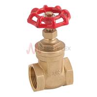 BSPP SPT PN20 Brass Gate Valve