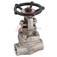 Class 800 Gate Valves Hand Wheel Operated 316L Stainless Steel