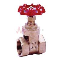 BSPP Female Gate Valves