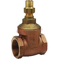 BSPP Female Gate Valves