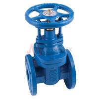 Flanged PN16 BS5150 Cast Iron Gate Valves