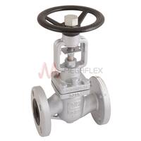 Flanged Globe Valves DI PN16-25