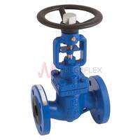 Flanged Globe Valves PN16/40-PN25