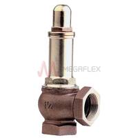 BSPP Female Spring Safety Relief Valves