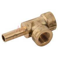 Metric Brass Tee Connectors