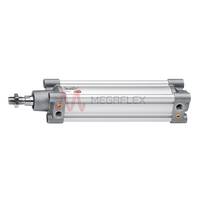 125mm BSPP S63 Double Acting Cylinders