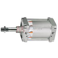 200mm BSPP S40 Double Acting Cylinder