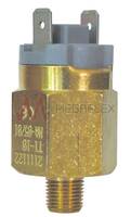 BSPT Male Pressure Switches
