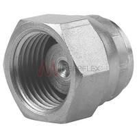 BSPP Swivel 60° Blanking Caps Steel