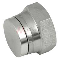 BSP Swivel Steel Blanking Caps