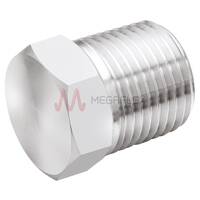 BSPT Male Plugs 316 Stainless Steel