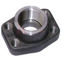 BSP Threaded Flanges