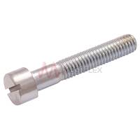 Slotted Head Fixing Bolts Steel